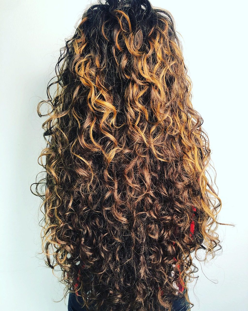 curly-5341879_1280